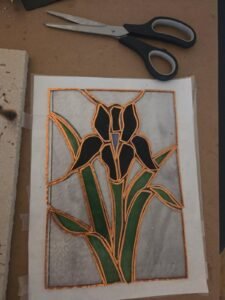 iris