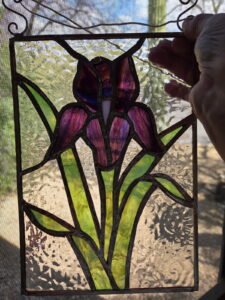 iris done